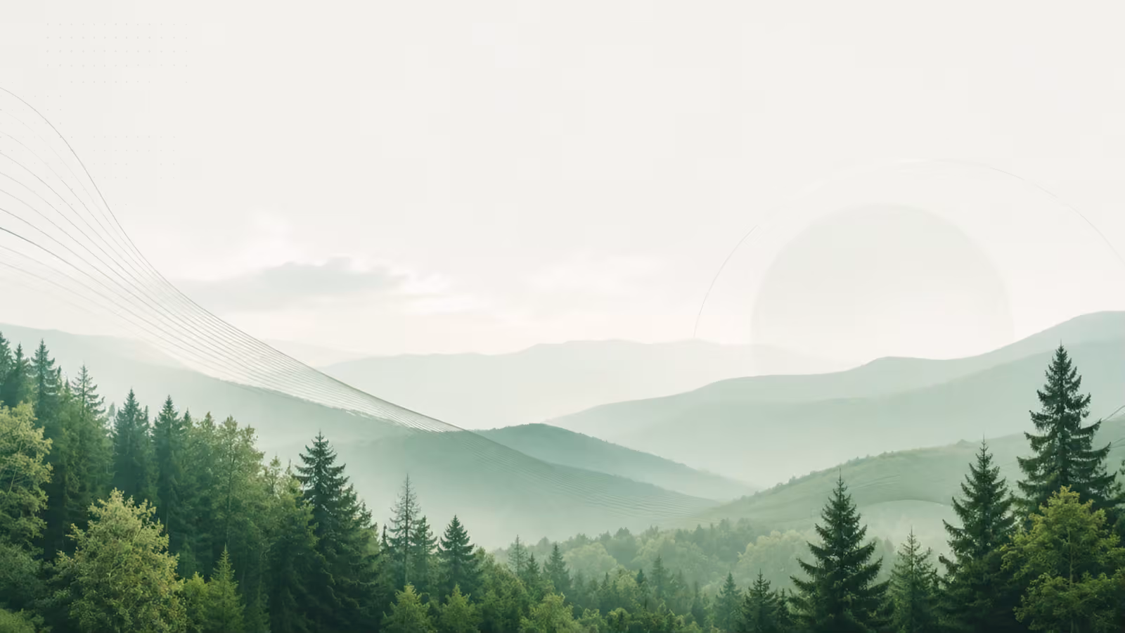 A green valley of conifer forest rising into layered, misty ridgelines under a pale sky